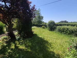 Front Garden- click for photo gallery